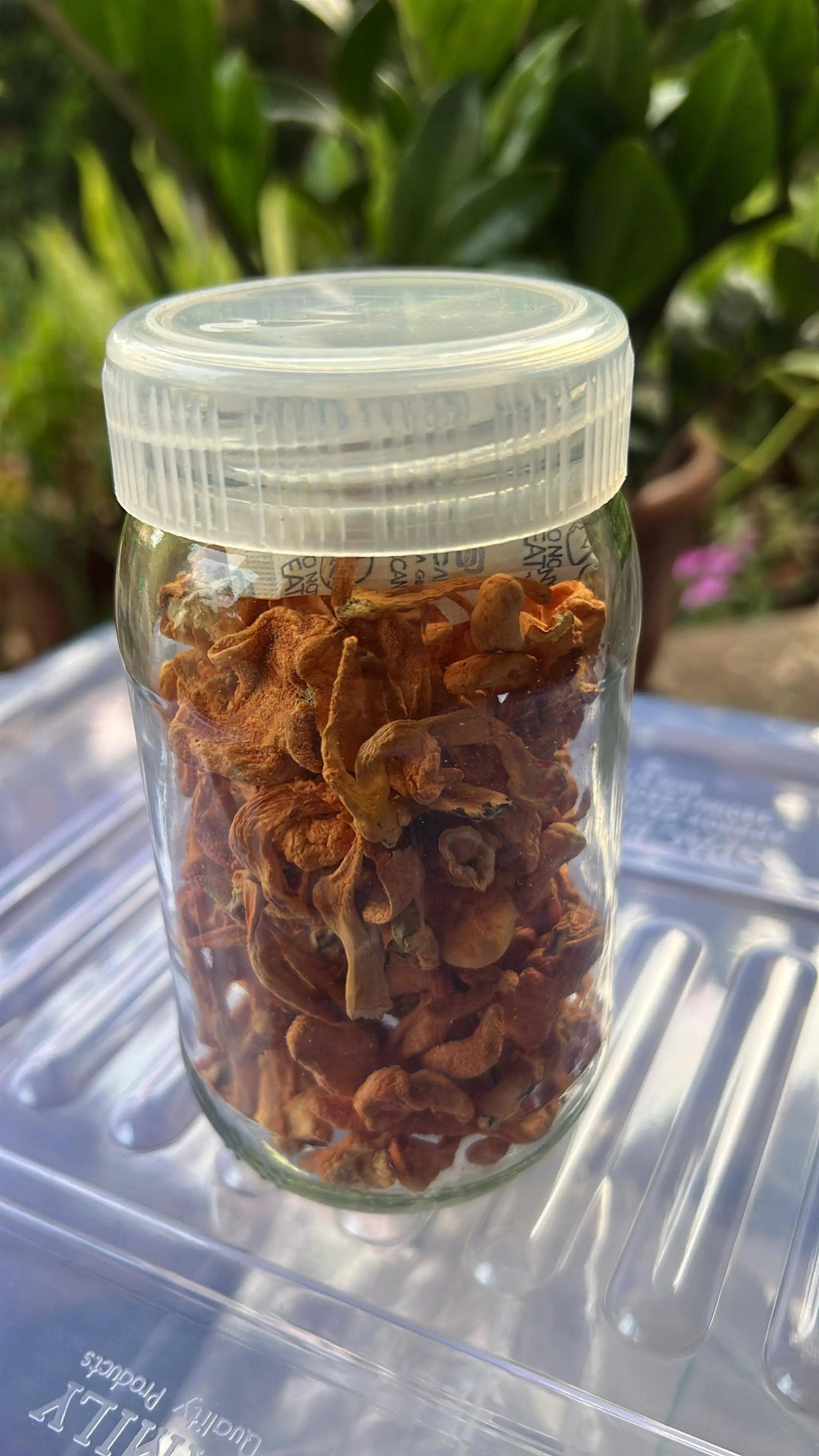 Organic Cordyceps Mushrooms - 25gm dry - Energy boosting super food - growthefunguy