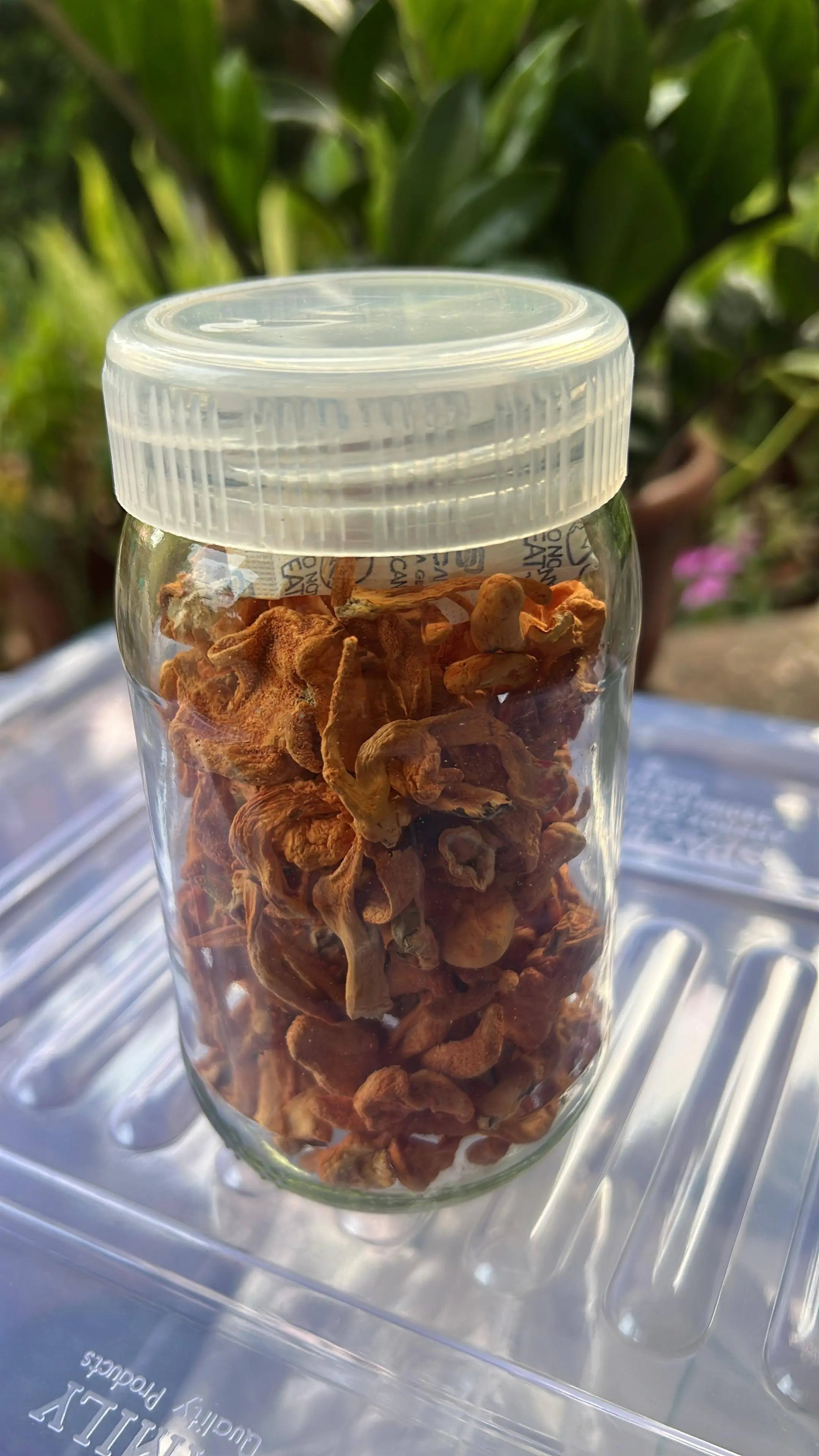 Organic Cordyceps Mushrooms - 25gm dry - Energy boosting super food - growthefunguy