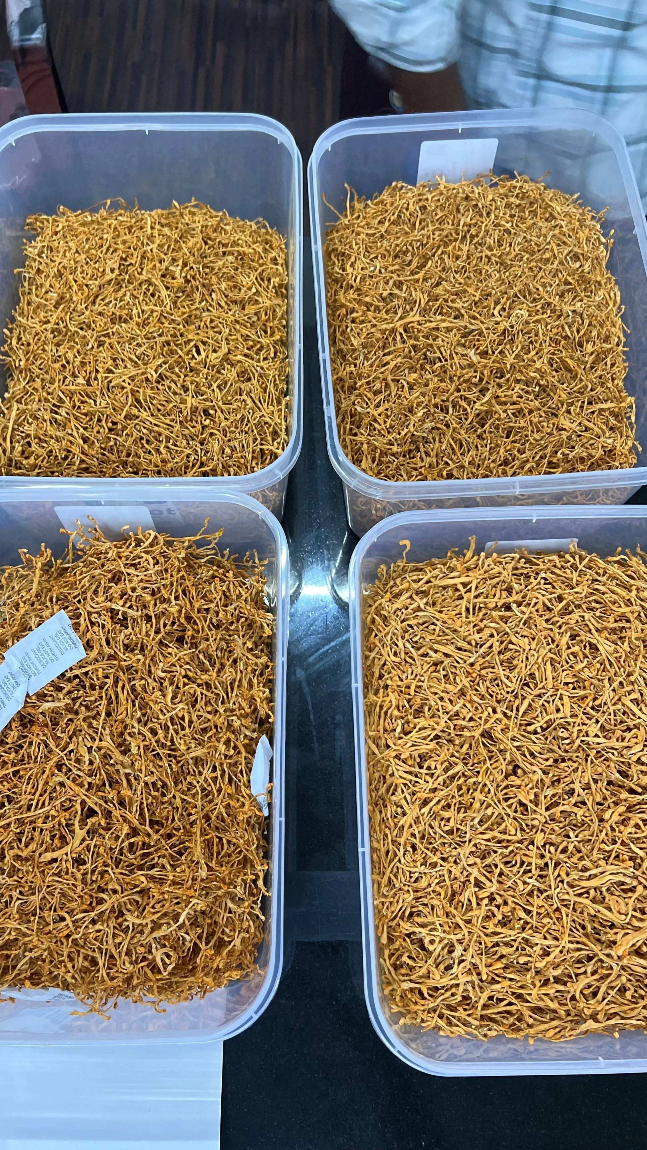 POWERFUNGUY - Dual extract Cordyceps tincture - 30ml - growthefunguy