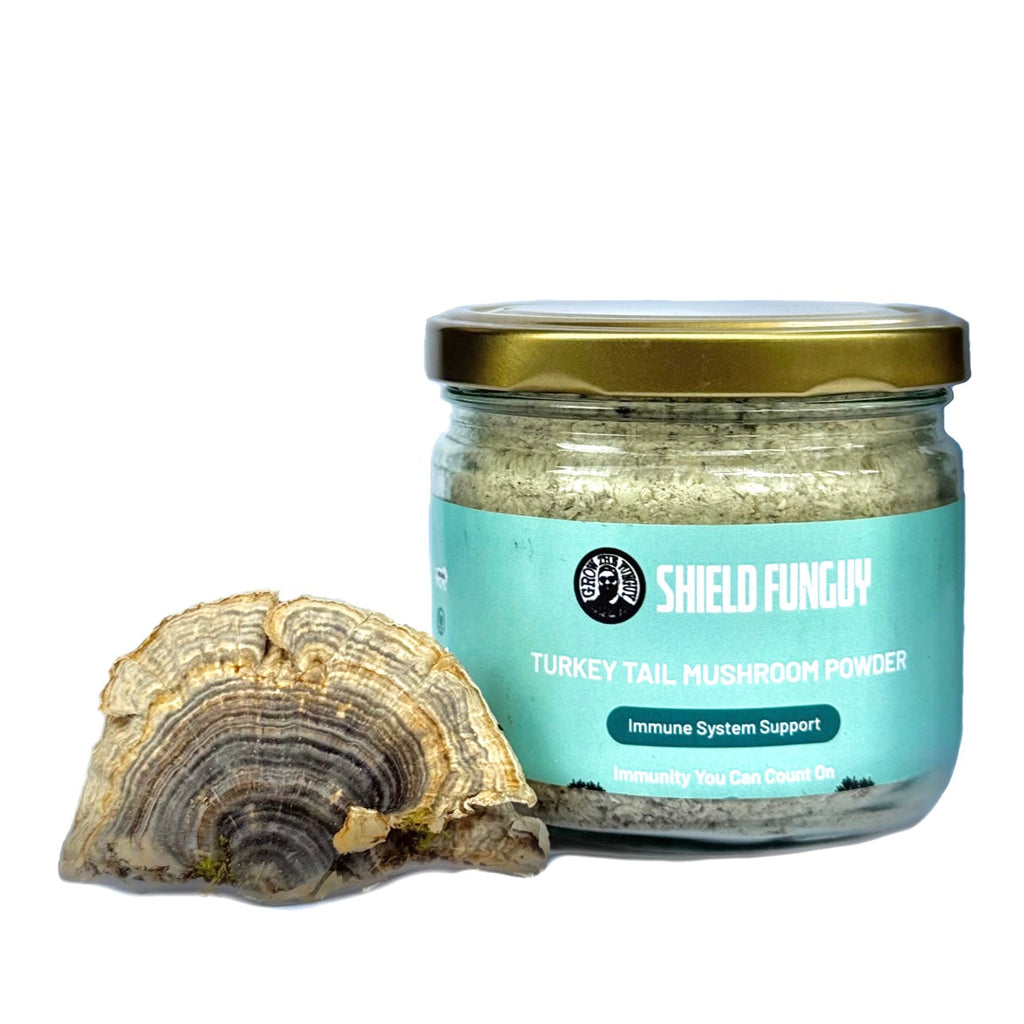 Organic Turkey Tail Water Extract Powder | Premium Quality, Immunity Superfood | Grown in India