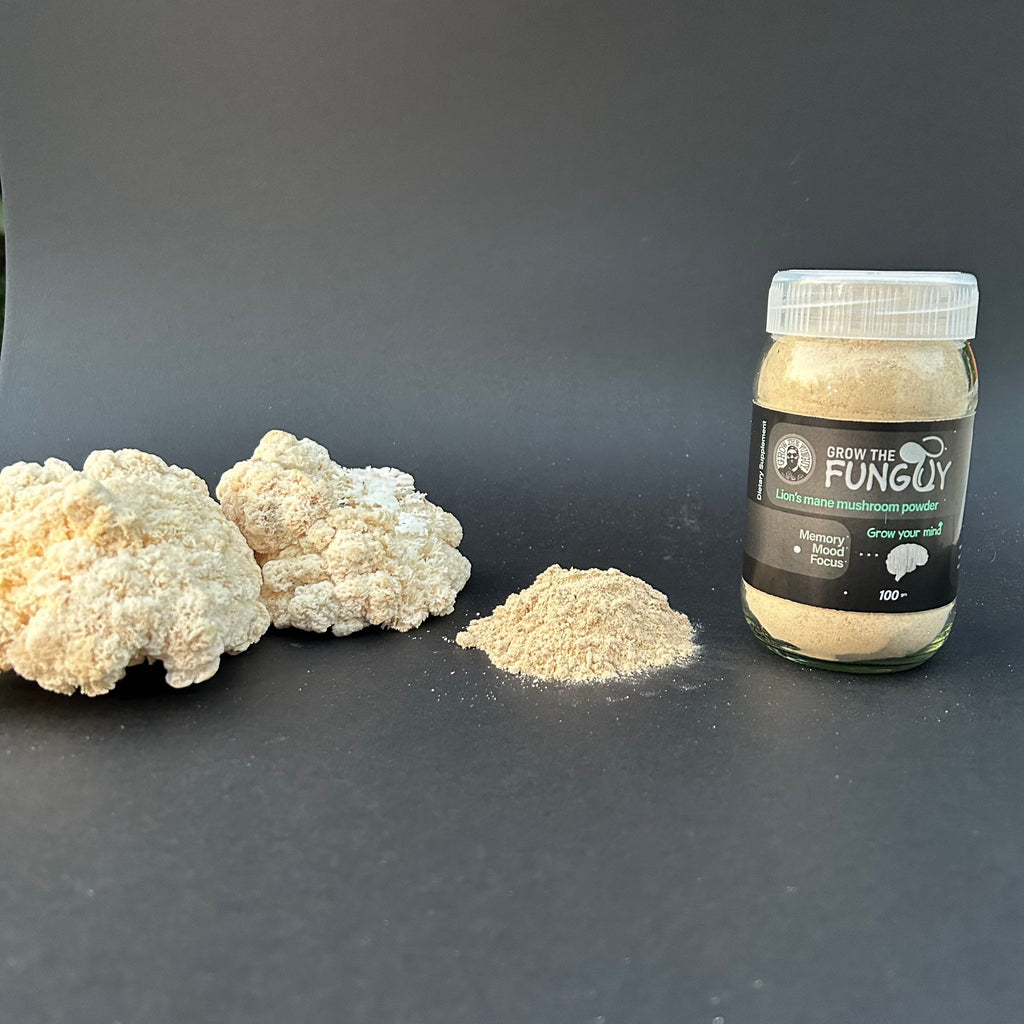 Organic Lion's Mane Powder - 100g | Premium Quality, Brain-Boosting Superfood | Grown in India - growthefunguy