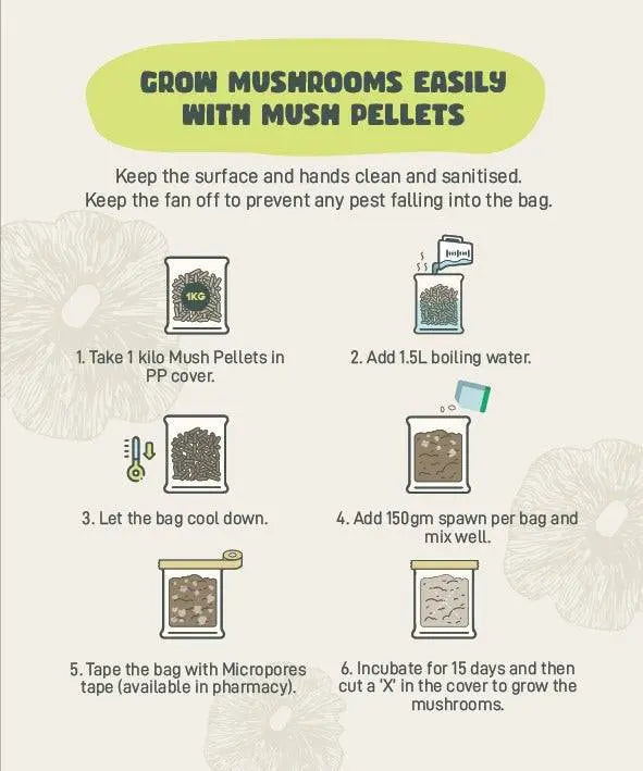 MushPellets™ Improved - Premium mushroom grow medium for Wood loving species (Copy) - growthefunguy