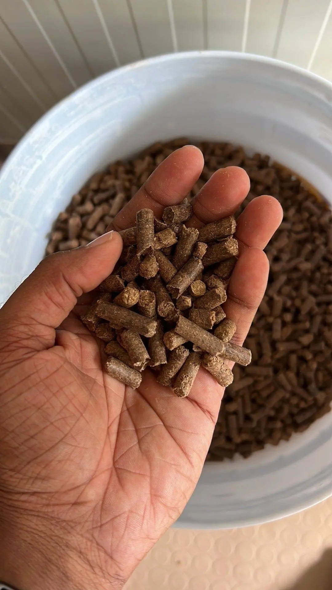 MushPellets™ Improved - Premium mushroom grow medium for Wood loving species - growthefunguy